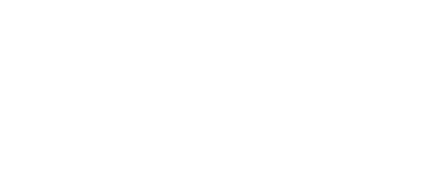 The Berlin File logo