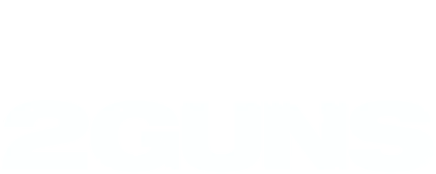 2 Guns logo