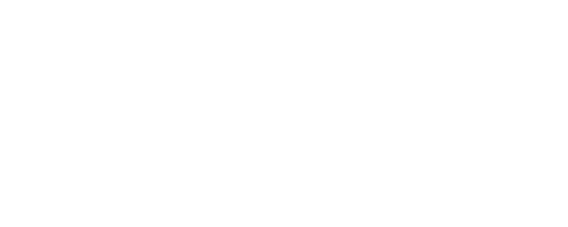 New World logo