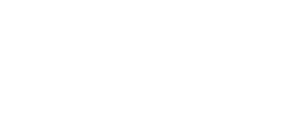 Riddick logo