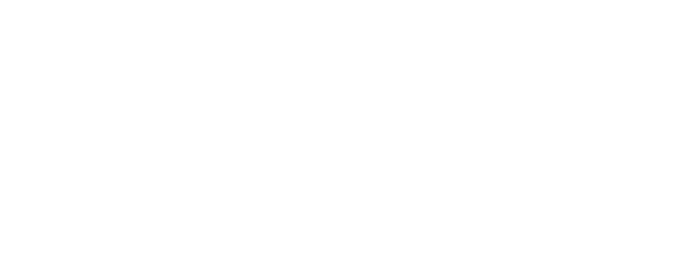 The New Boy logo
