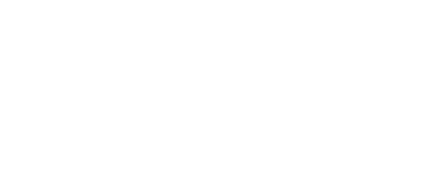 The New Boy logo