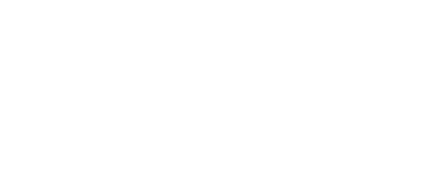 Chicago PD logo