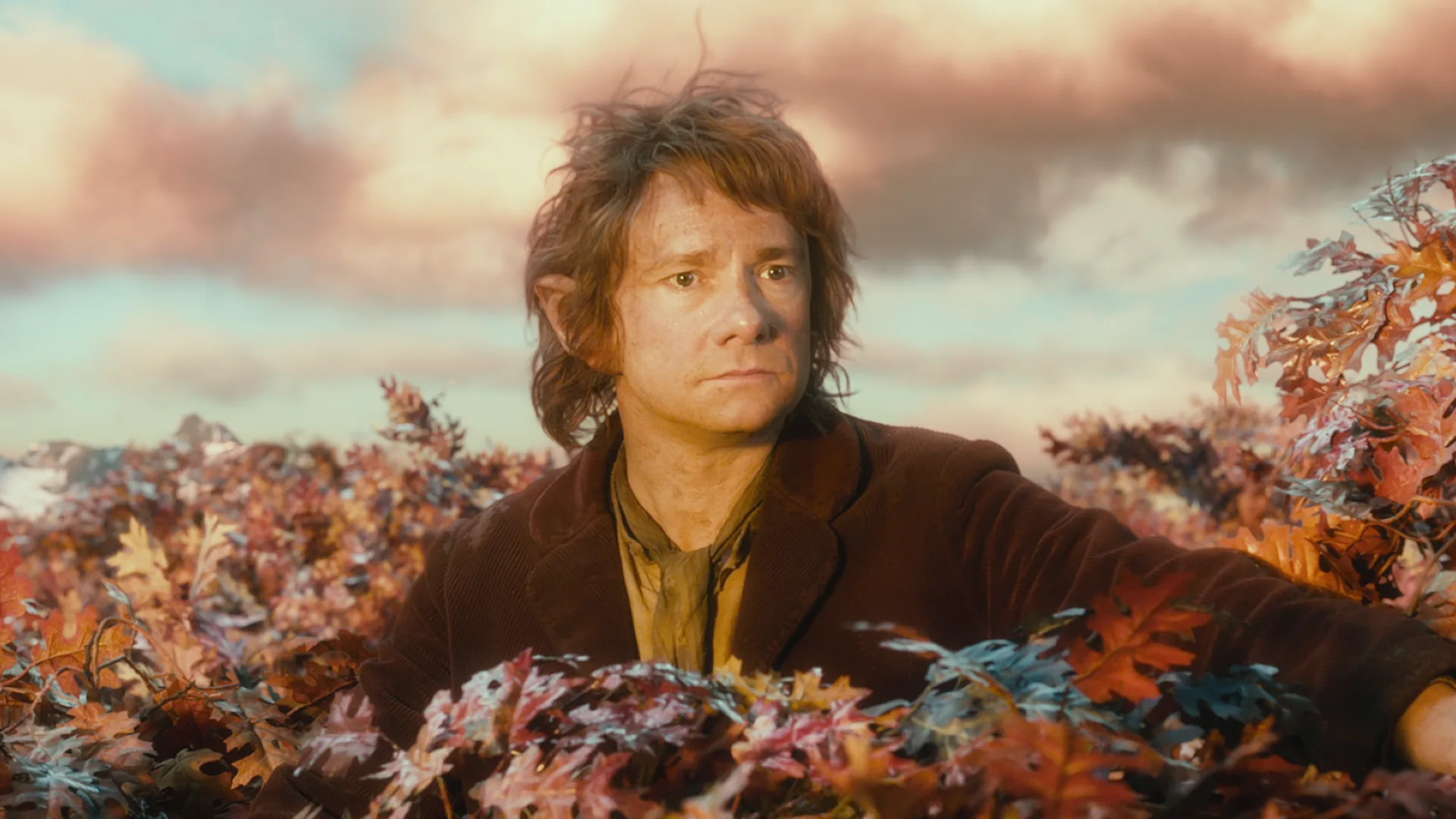 The Hobbit: The Desolation of Smaug