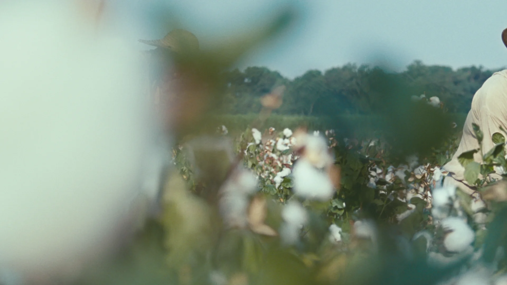 12 Years a Slave