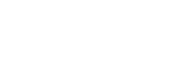 Blind Detective logo