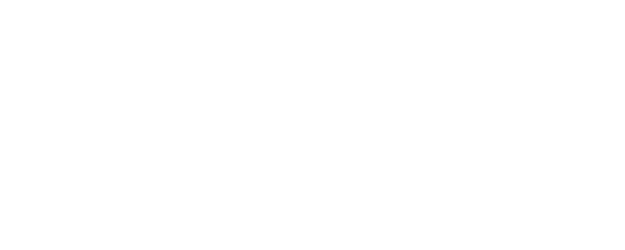 Ip Man: The Final Fight logo