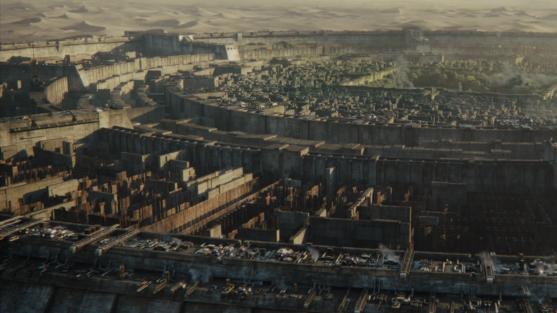 The Maze Runner
