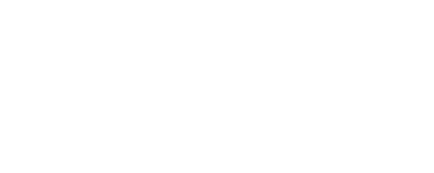 The Spy logo