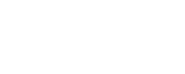 The Spy logo