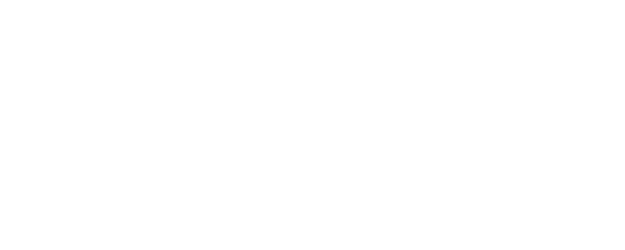 The Double logo