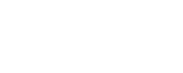 Felony logo