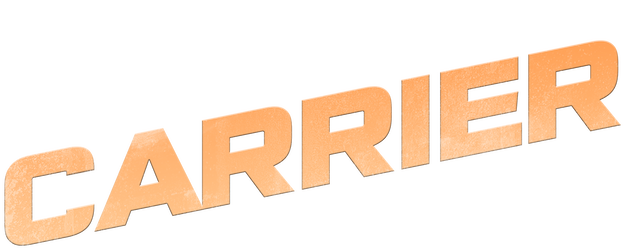 The Bag Man logo