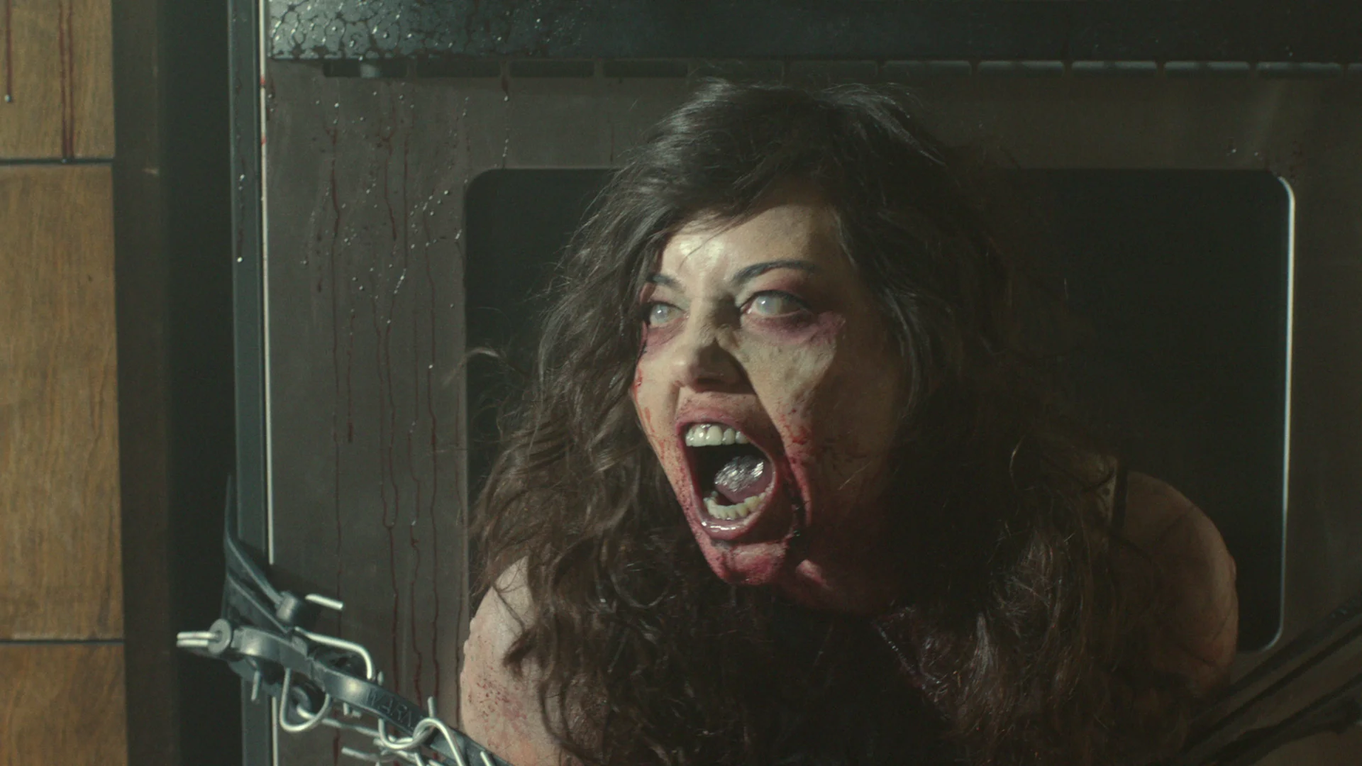 Life After Beth