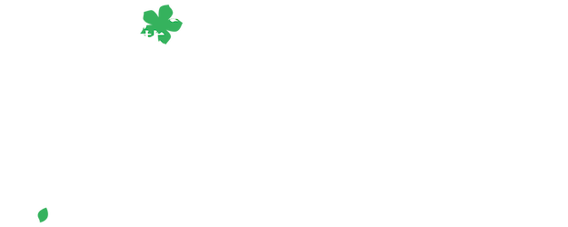 Anohana: The Flower We Saw That Day logo