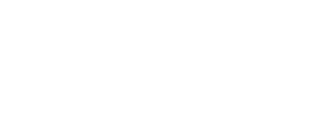 White Bird in a Blizzard logo