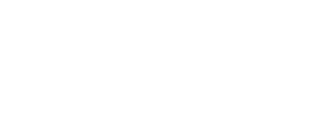 Boyhood logo