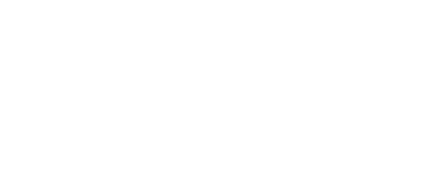 Torrente: The Dumb Arm of the Law logo