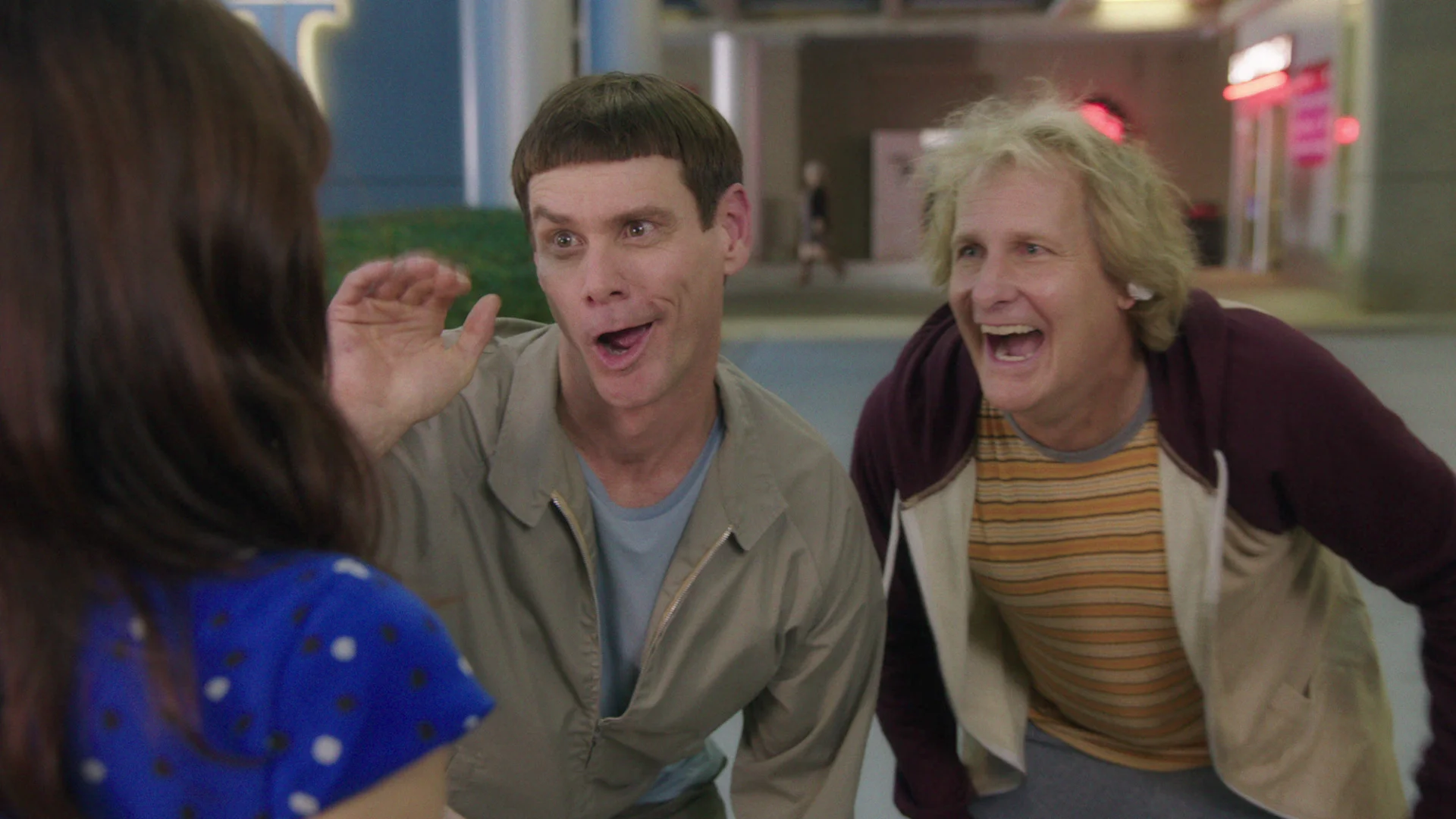 Dumb and Dumber To