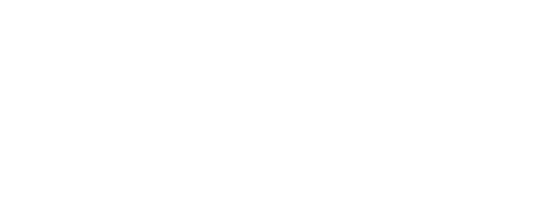 Midnight Express logo