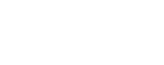Midnight Express logo