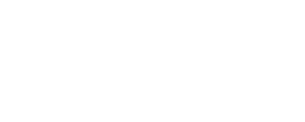 The Natural logo