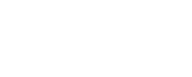 The Theory of Everything logo