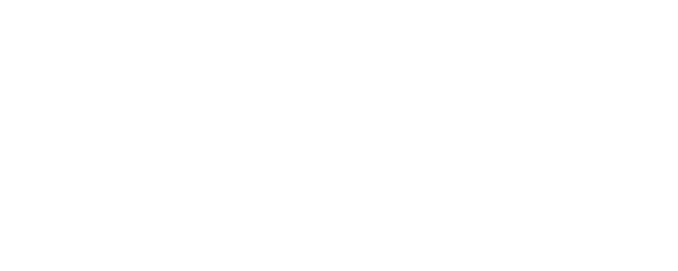 The Boy Next Door logo