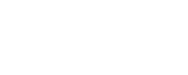 Fever logo