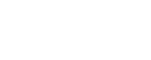 The Connection logo