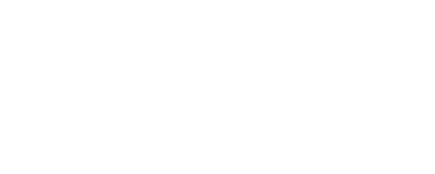 Race logo