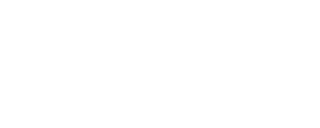 Ricki and the Flash logo