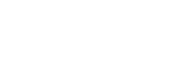 The Perfect Guy logo