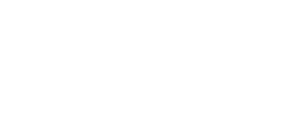 Everest logo