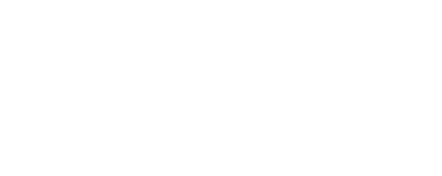 Salut d'Amour logo