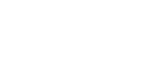 Salut d'Amour logo