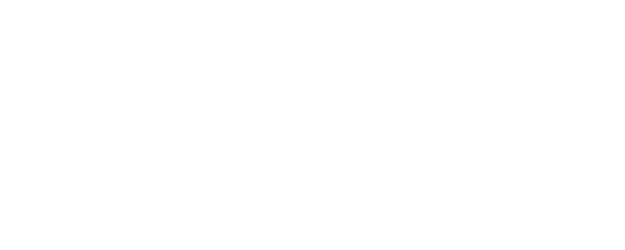 Dil Dhadakne Do logo