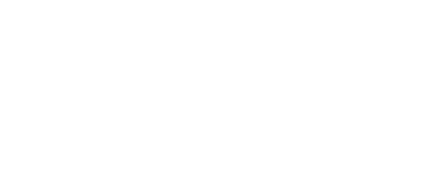 Midnight Special logo