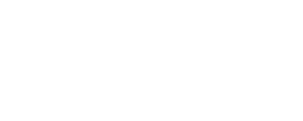 Bizan logo