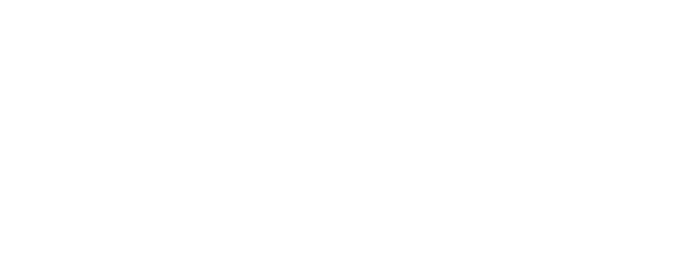 The Mothers of Chico Xavier logo