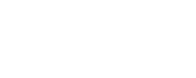 Little Lunch logo