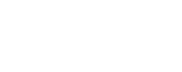 Little Lunch logo
