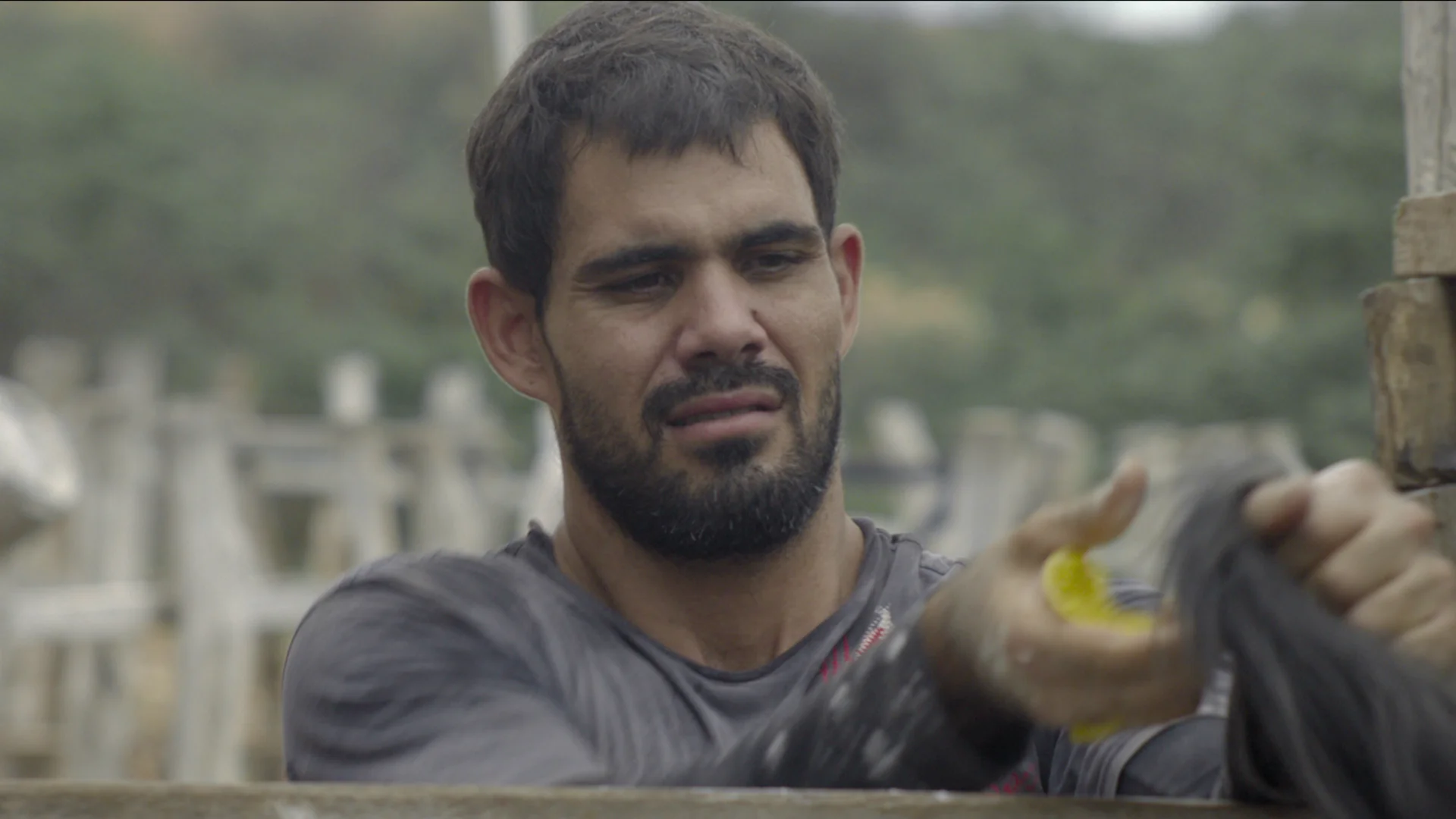 Neon Bull