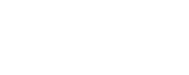 The Witness logo