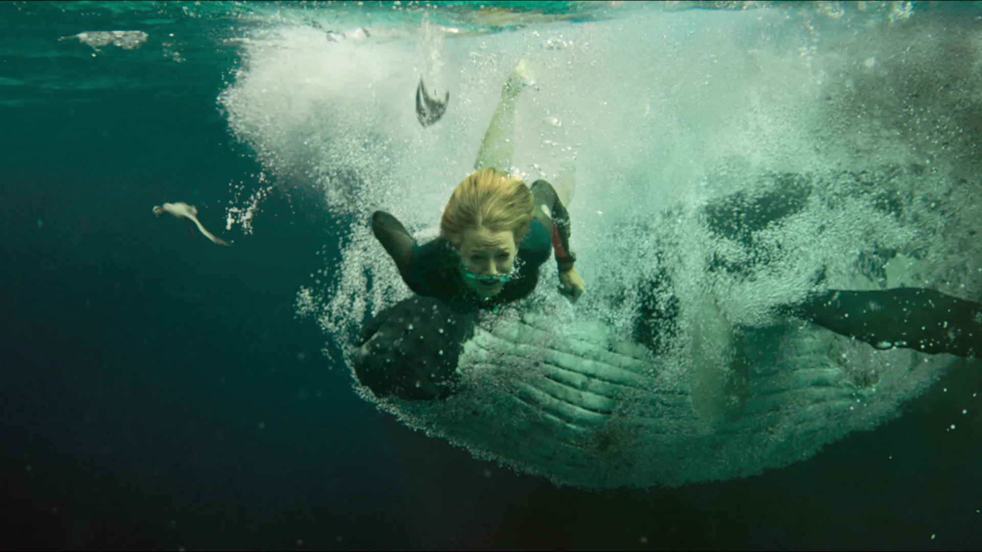 The Shallows