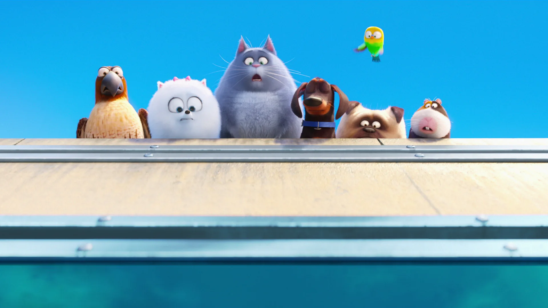 The Secret Life of Pets
