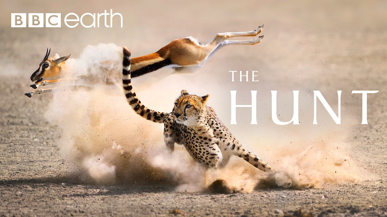The Hunt