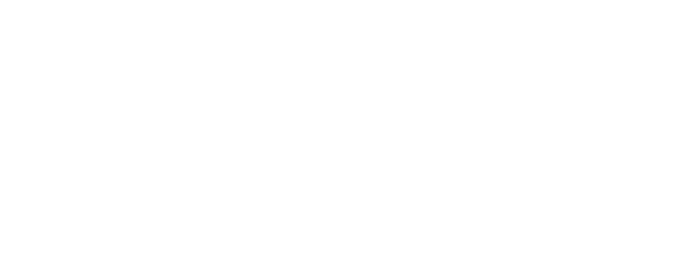 Skins logo