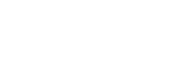 Sully logo