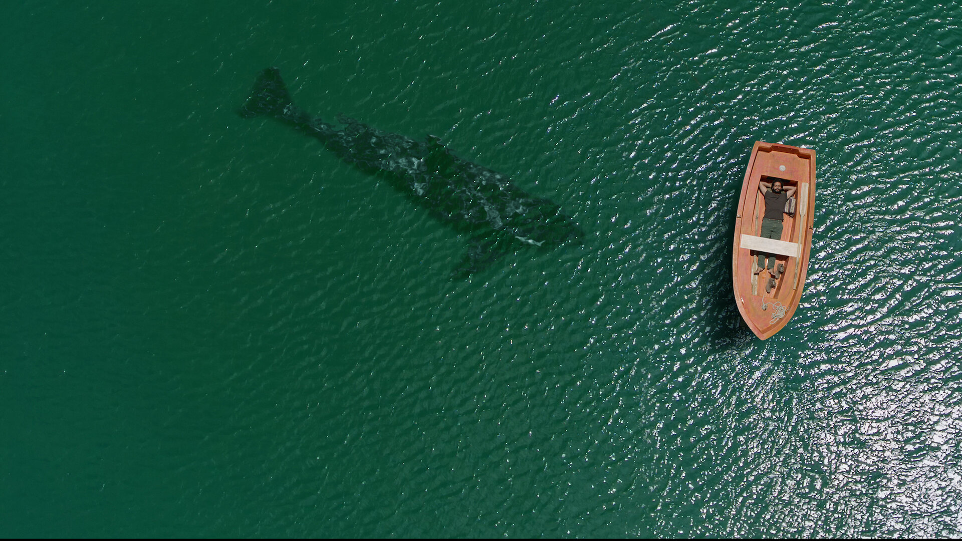 The Lighthouse of the Orcas
